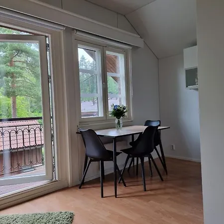 Sammalpankko Apartment *